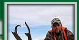Antelope Picture top