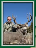 Trophy mule deer buck picture