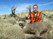 Highlight for album: 2012 Hunting Gallery